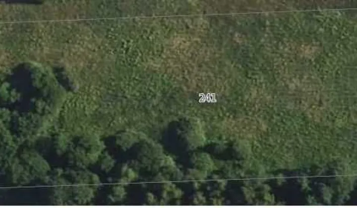 Działka rolno-budowlana Dąbrowa Tarnawacka