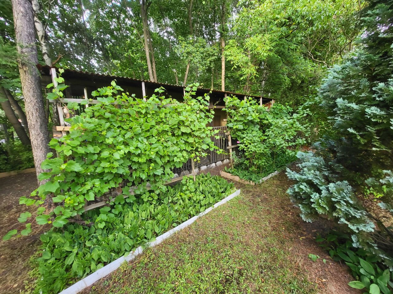 Działka rod Katowice Dąbrówka Mała, ul. Strzelców Bytomskich. Zdjęcie 8