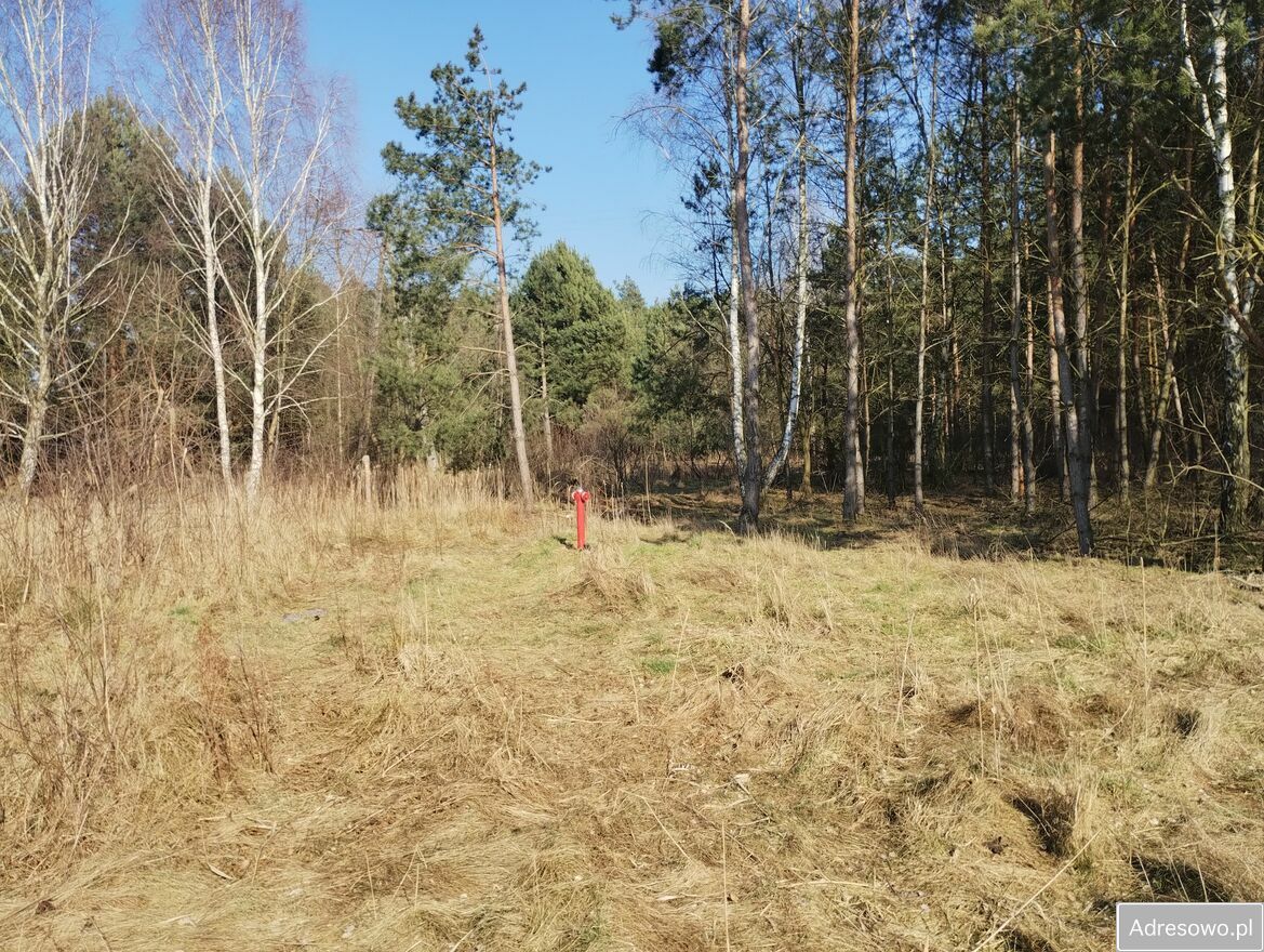 Działka budowlana Glinno. Zdjęcie 4