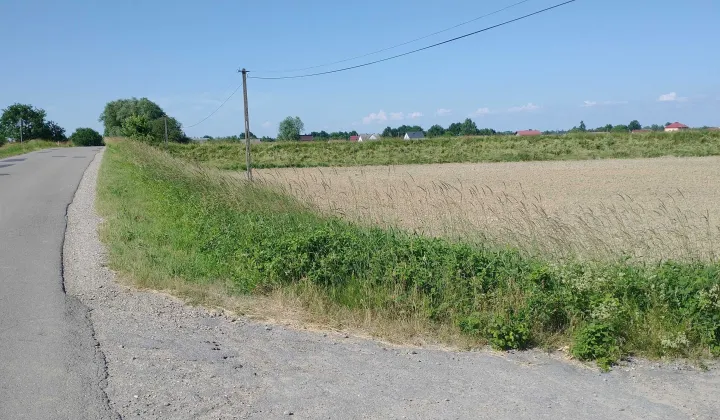 Działka rolna Borzęcin