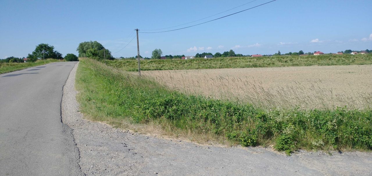 Działka rolna Borzęcin. Zdjęcie 1