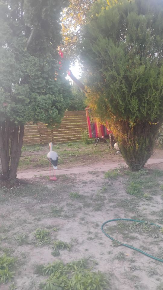 Działka rod Lublin Podzamcze. Zdjęcie 6
