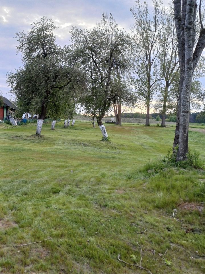 Działka siedliskowa Chomontowce. Zdjęcie 8