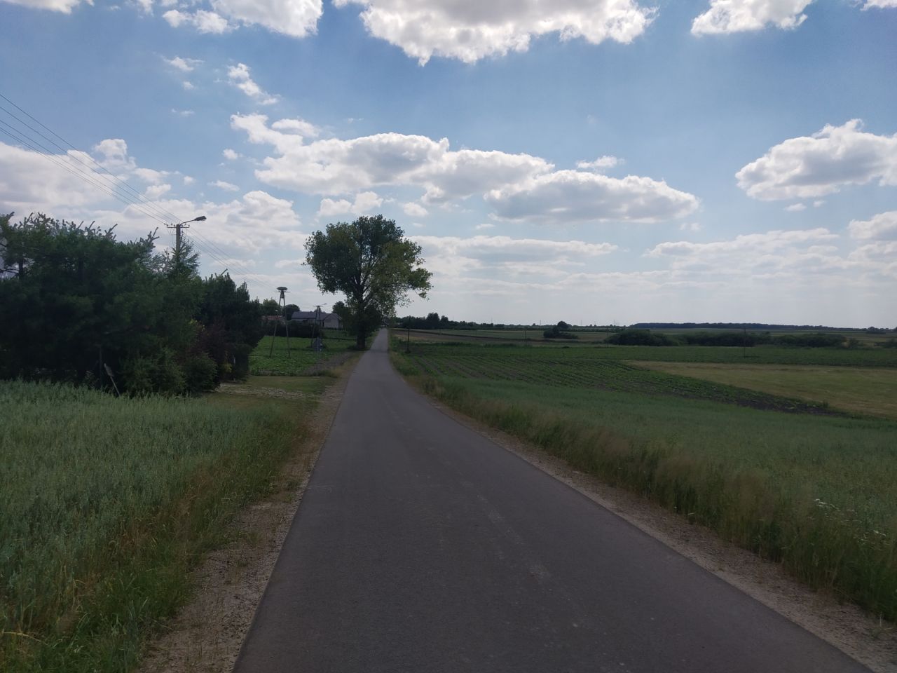 Działka rolna Zezulin Niższy. Zdjęcie 7