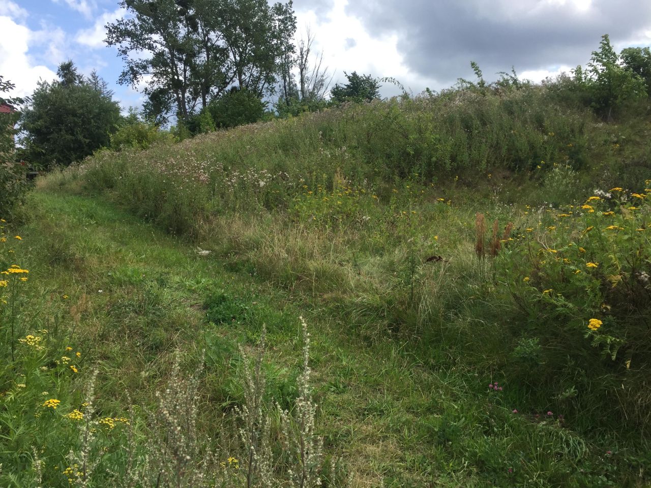 Działka budowlana Kosakowo, ul. Makowa. Zdjęcie 4