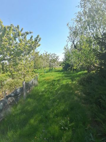 dom wolnostojący, 5 pokoi Michałów Grabina. Zdjęcie 5