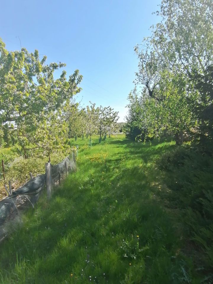 dom wolnostojący, 5 pokoi Michałów Grabina. Zdjęcie 5