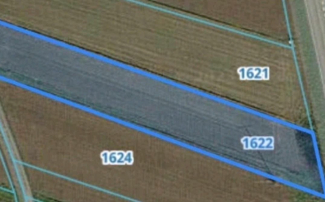 Działka rolno-budowlana Wojciechów. Zdjęcie 2