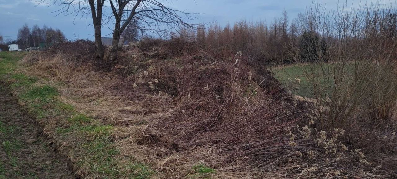 Działka rolno-budowlana Stanisławice. Zdjęcie 7