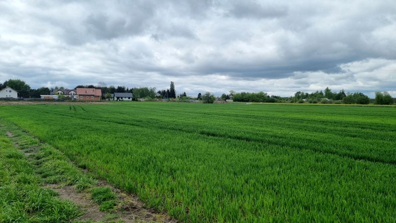 Działka rolna Żuków. Zdjęcie 10