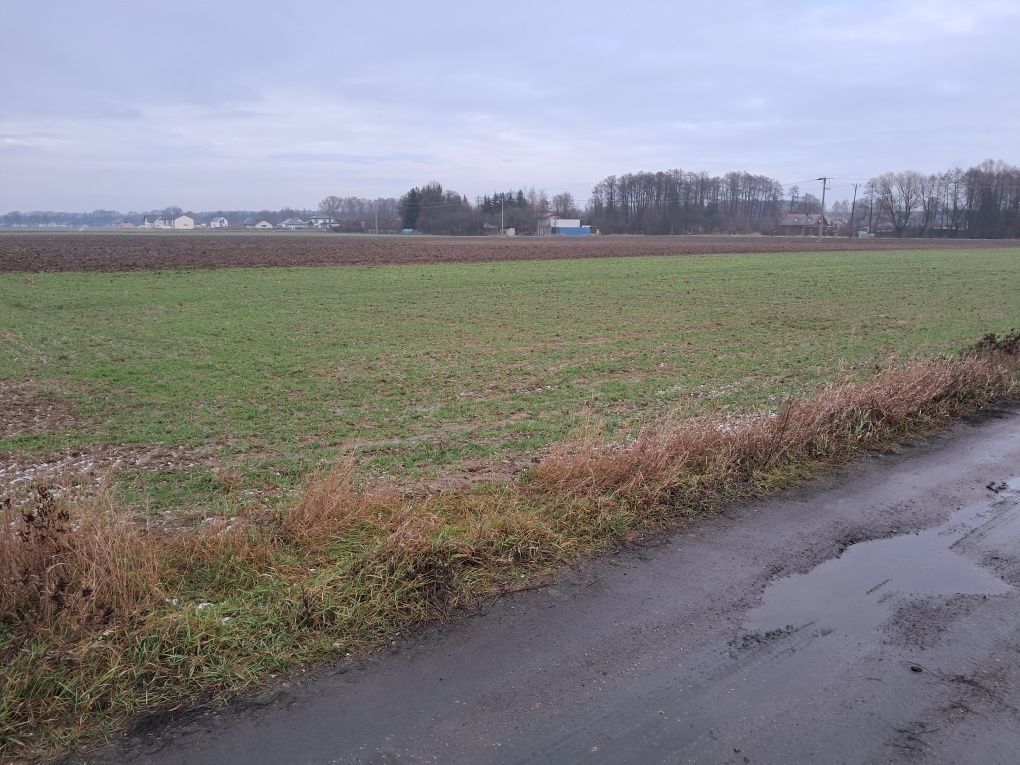 Działka budowlana Stary Toruń, ul. Wiosenna. Zdjęcie 3