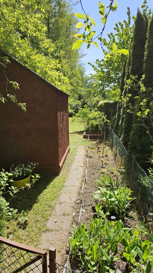 Działka rod Łódź Teofilów, al. Salomei Brynickiej. Zdjęcie 11