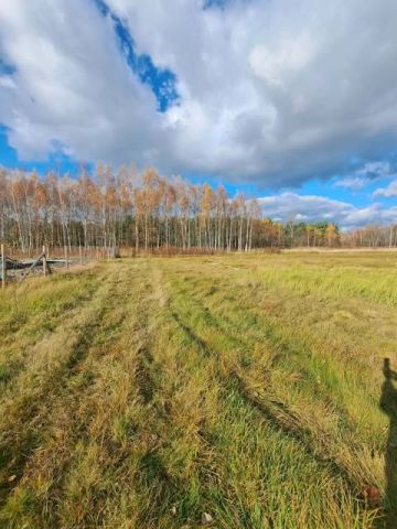 Działka budowlana Kolbuszowa Dolna, ul. Sosnowa. Zdjęcie 3