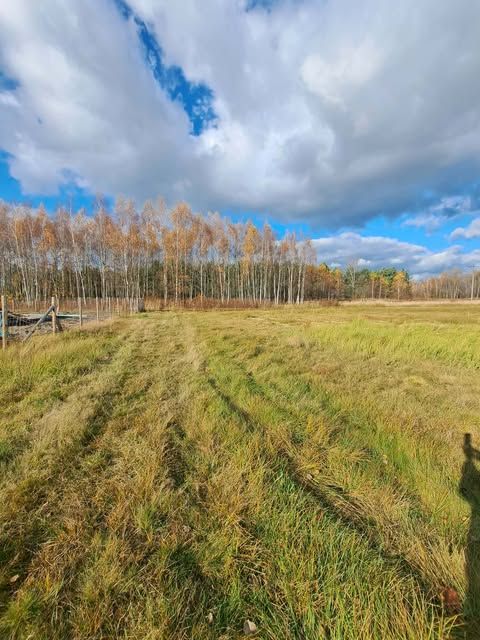 Działka budowlana Kolbuszowa Dolna, ul. Sosnowa. Zdjęcie 3