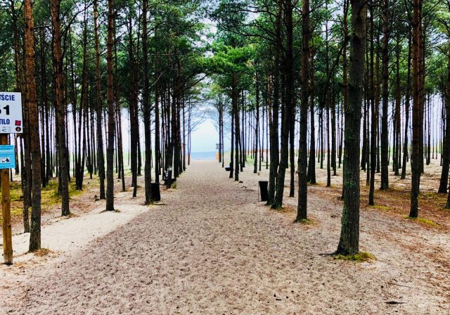 Działka budowlana Sarbsk, Sarbsk. Zdjęcie 34