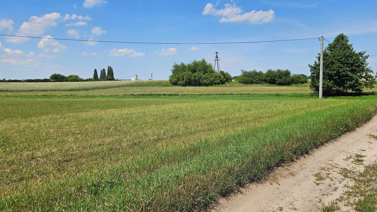 Działka rolno-budowlana Zławieś Mała. Zdjęcie 4