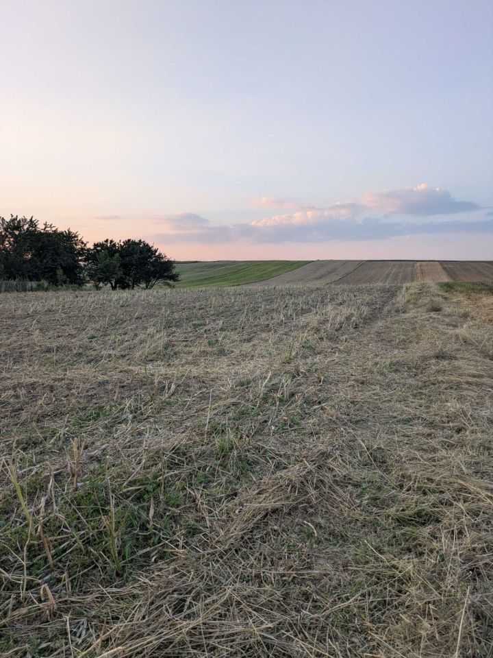 Działka rolna Zagorzyce. Zdjęcie 4