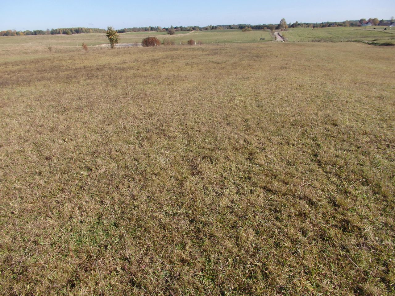 Działka rolno-budowlana Gady. Zdjęcie 8