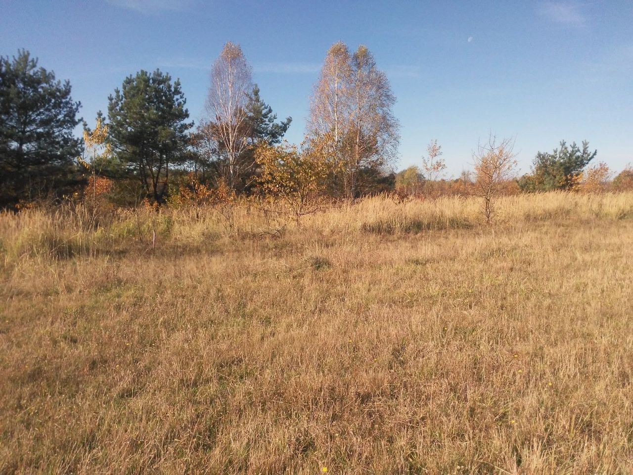 Działka budowlana Własna, ul. Wrzosowa. Zdjęcie 6