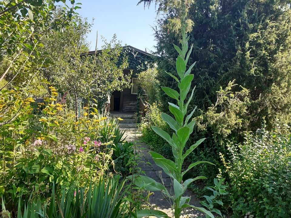 Działka rod Ząbki. Zdjęcie 5