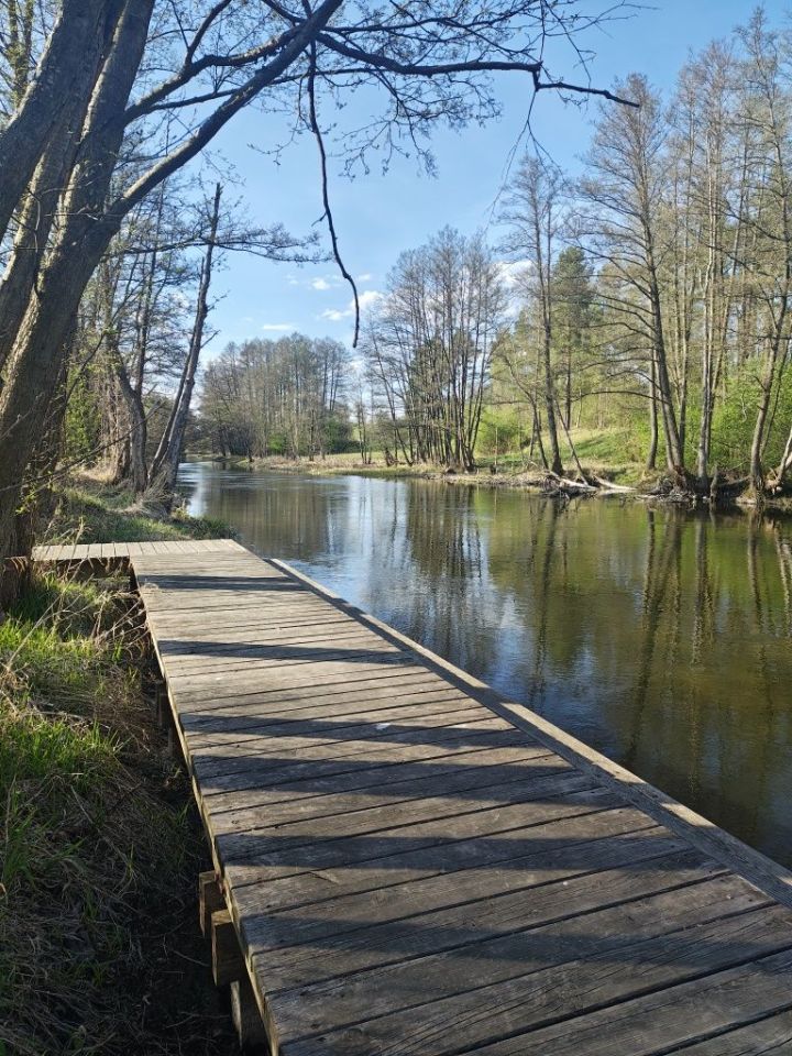 Działka budowlana Nadolna Karczma. Zdjęcie 8