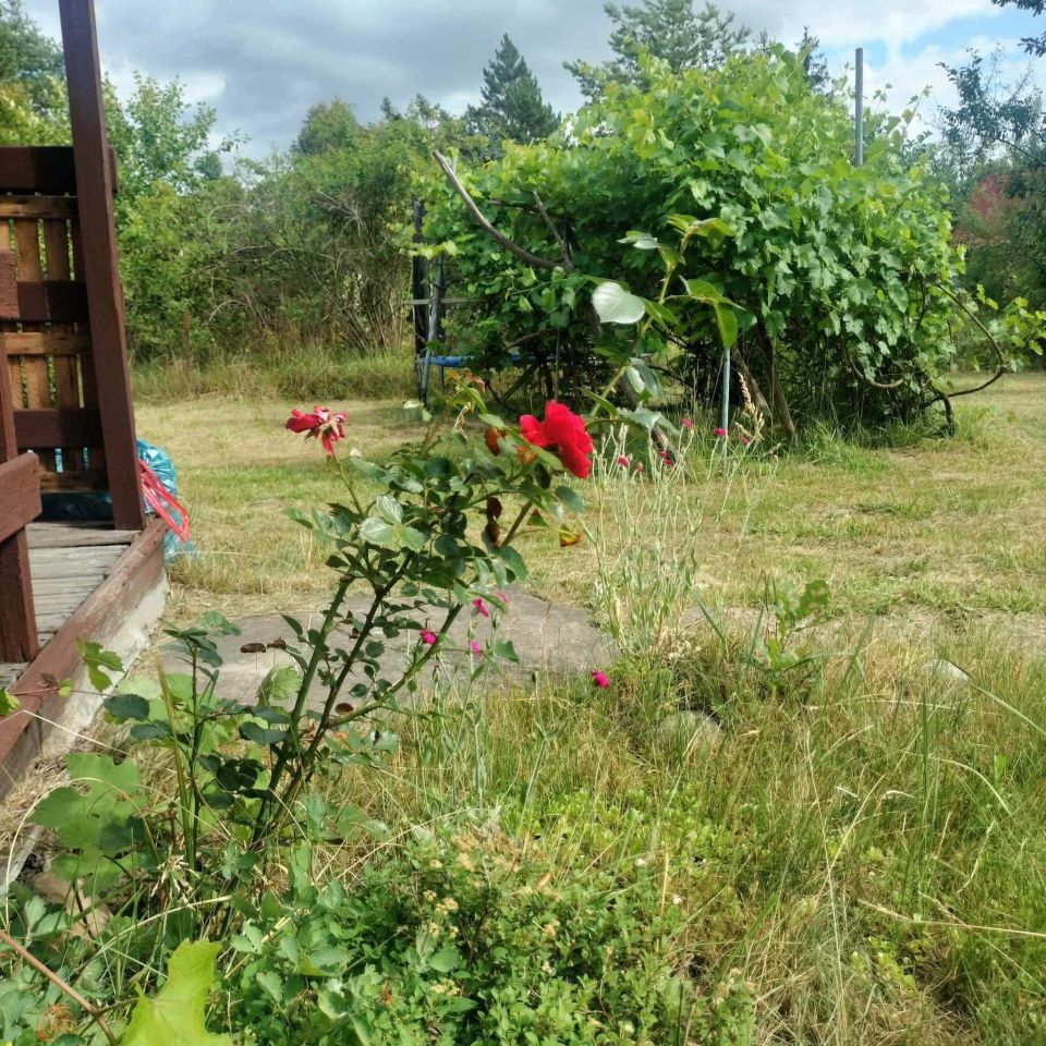 Działka rod Kajetany. Zdjęcie 6