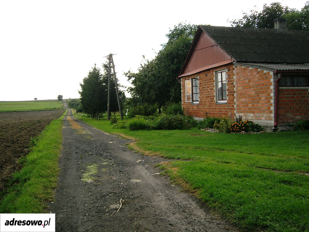 Działka siedliskowa Dobryniów-Kolonia. Zdjęcie 6