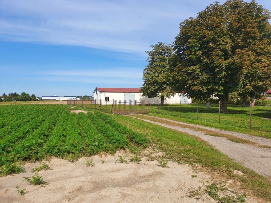 dom wolnostojący Ożarów Mazowiecki. Zdjęcie 7