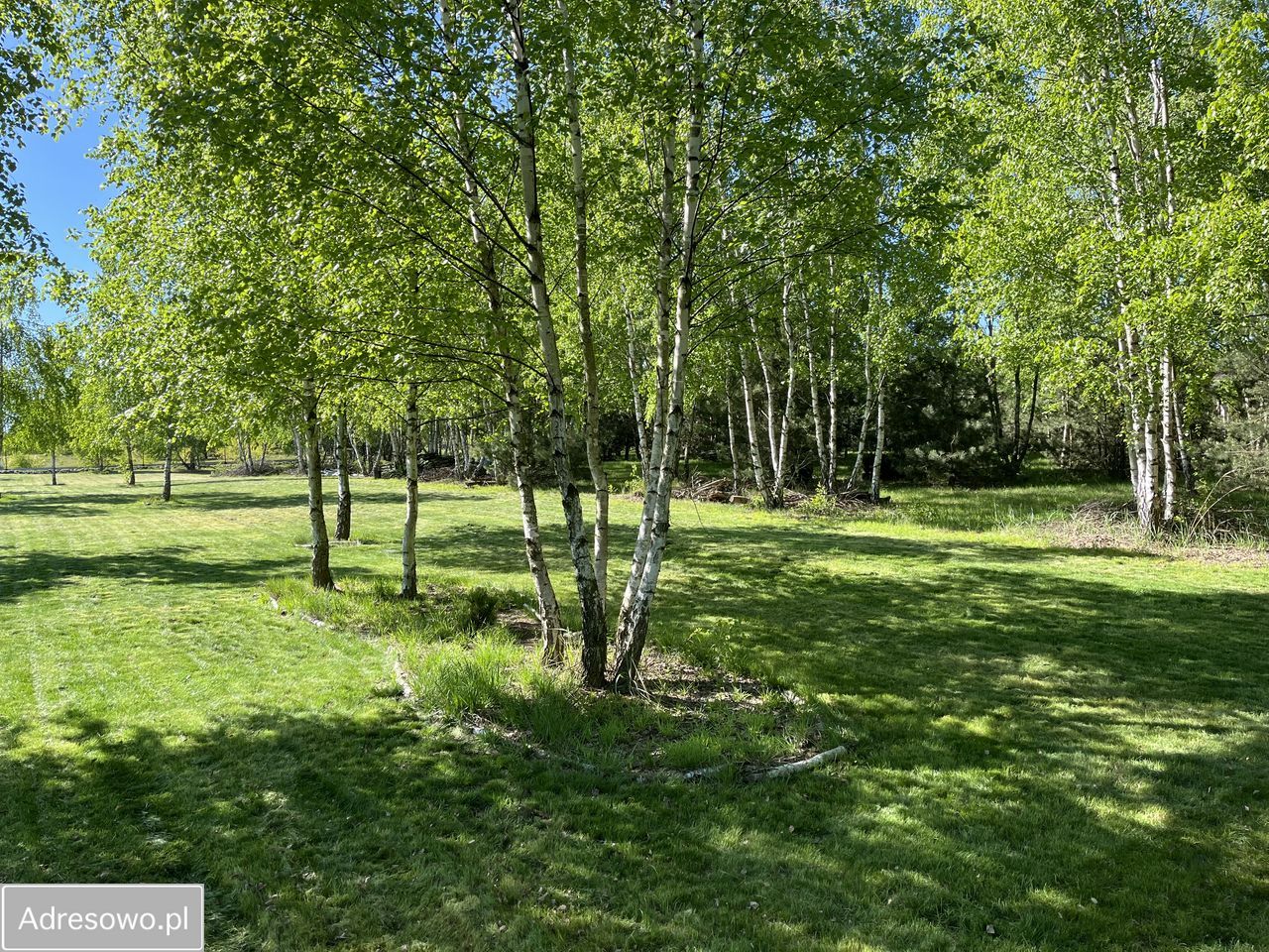 Działka budowlana Kalonka. Zdjęcie 12