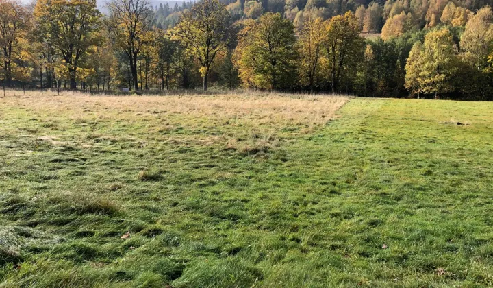 Działka budowlana Kamienica