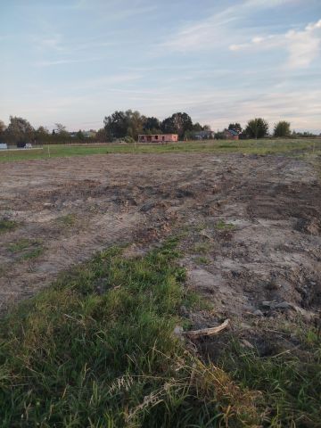 Działka budowlana Bednary, ul. Bitwy nad Bzurą. Zdjęcie 2