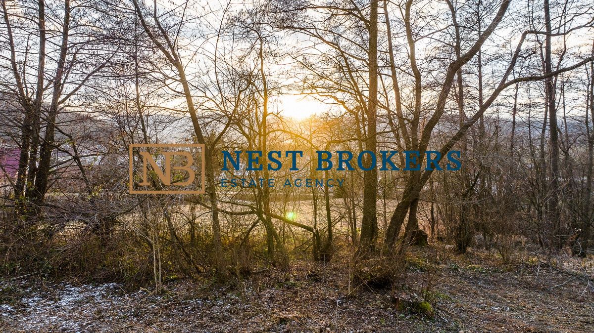 Działka budowlana Roztoka-Brzeziny. Zdjęcie 8