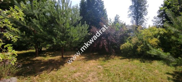 siedlisko, 3 pokoje Budy Wolskie. Zdjęcie 8