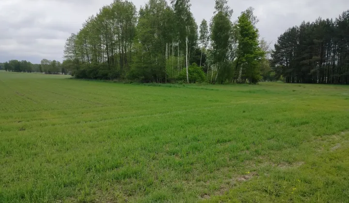 Działka budowlana Postękalice