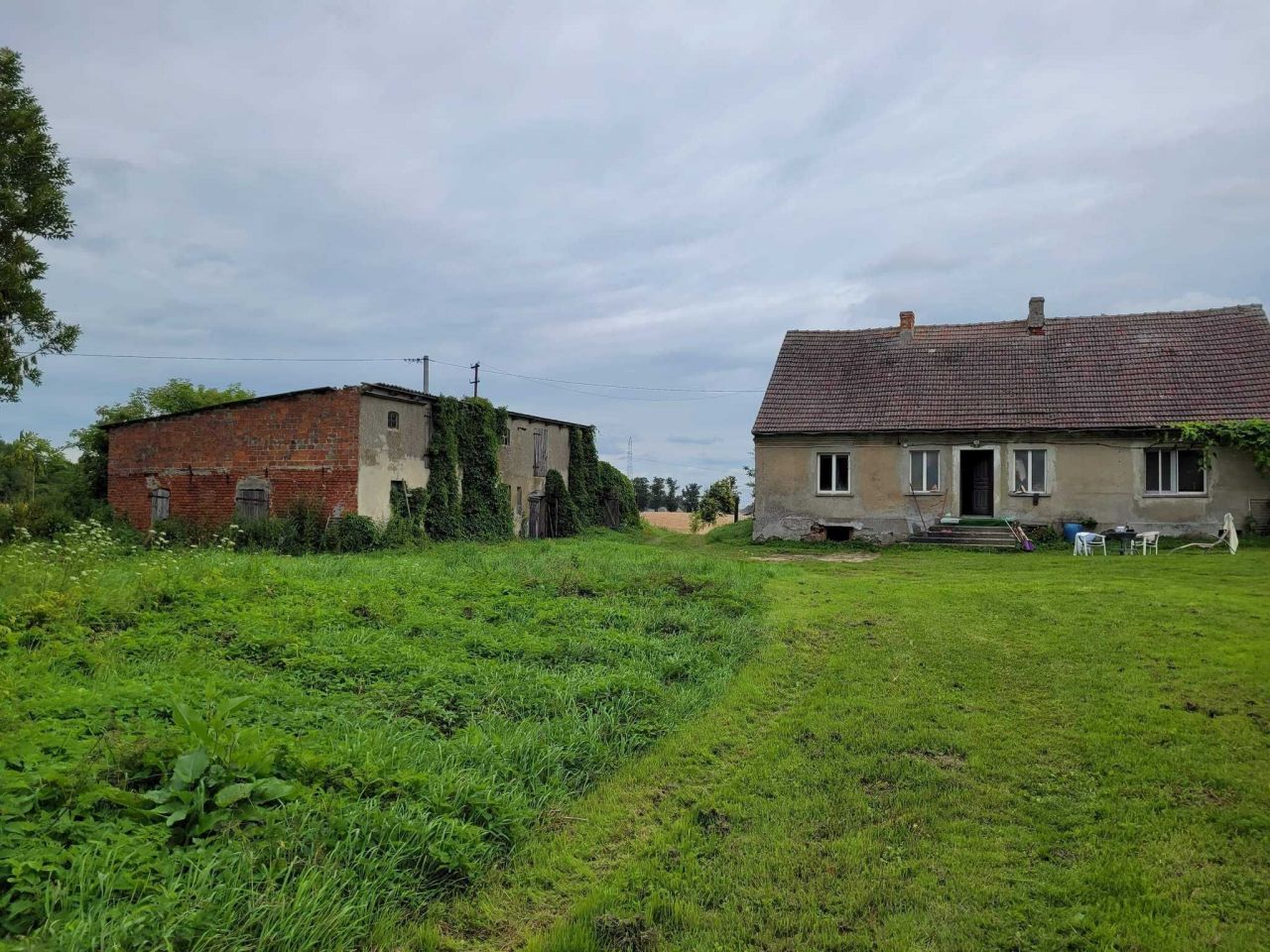 siedlisko Łęgowo. Zdjęcie 8