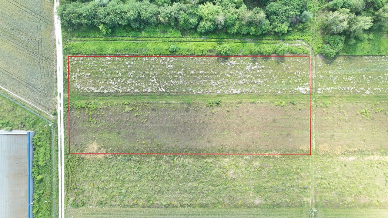 Działka budowlana Janików. Zdjęcie 4