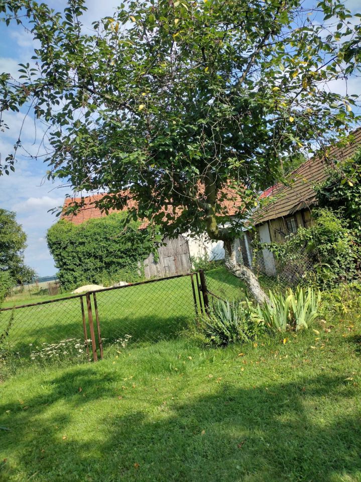 dom wolnostojący Stary Grodków. Zdjęcie 6