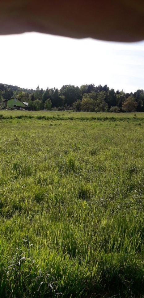 Działka rolno-budowlana Konieczkowa. Zdjęcie 6