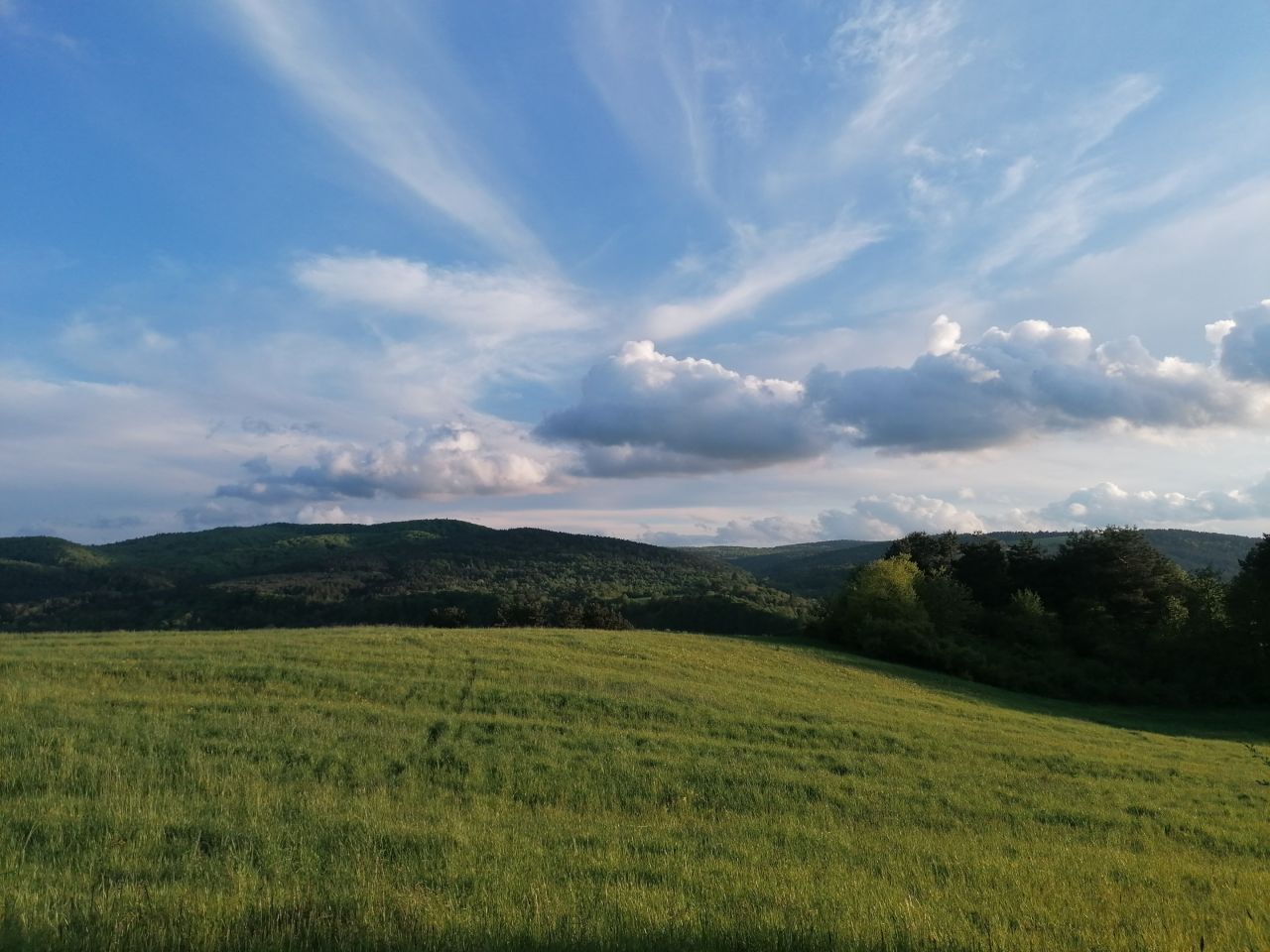 Działka rekreacyjna Rybotycze. Zdjęcie 21