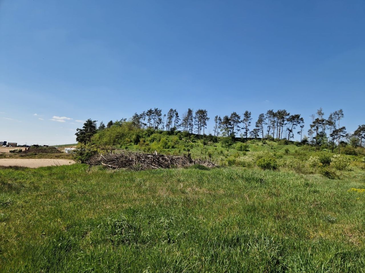 Działka leśna Nakło nad Notecią. Zdjęcie 6