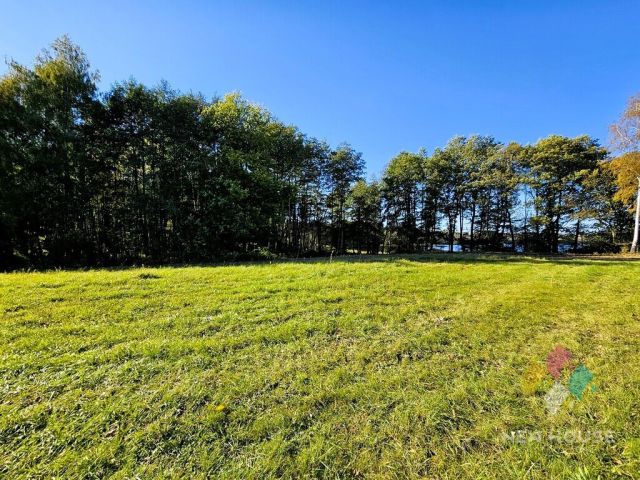 Działka siedliskowa Cerkiewnik. Zdjęcie 4