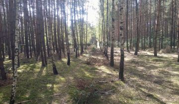 Działka rekreacyjna Lipianki