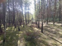 Działka rekreacyjna Lipianki. Zdjęcie 1