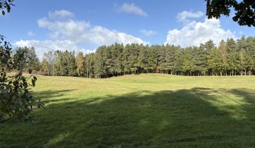 Działka rolna Dąbrówka Wielka