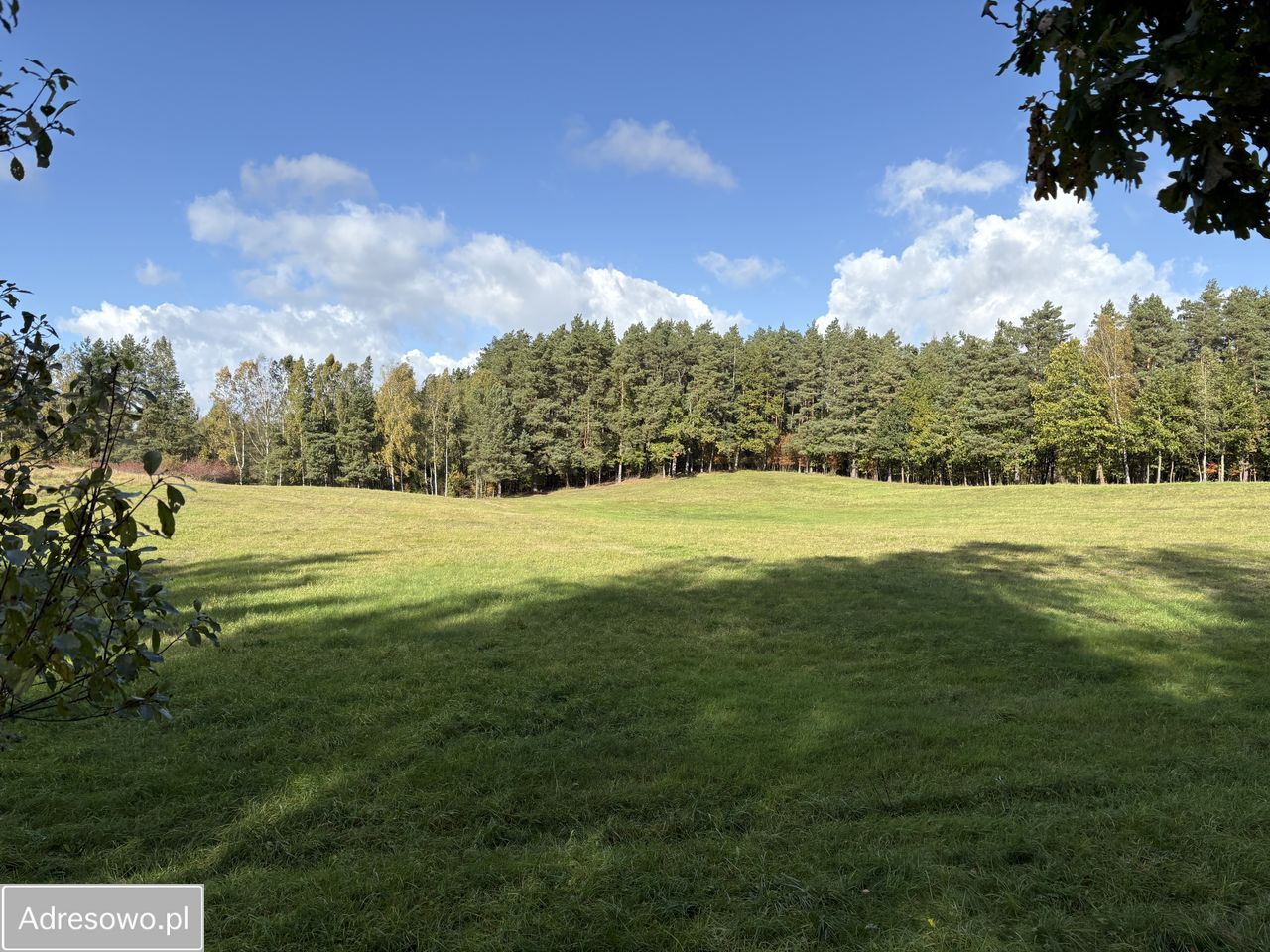 Działka rolna Dąbrówka Wielka