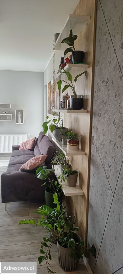 Mieszkanie 3-pokojowe Inowrocław. Zdjęcie 6