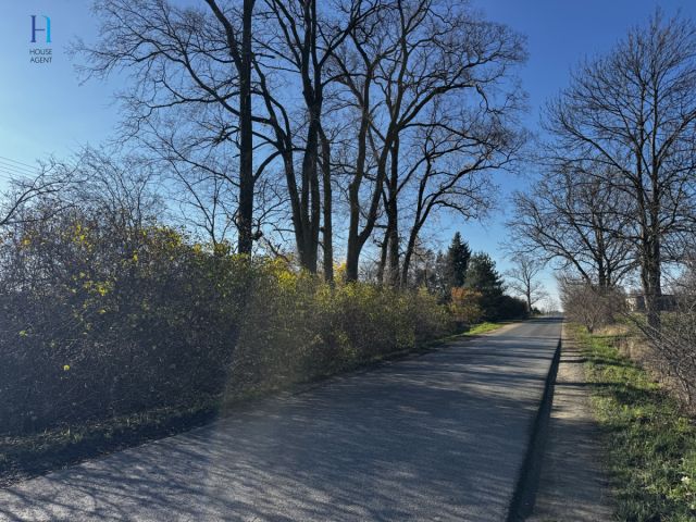 Działka siedliskowa Kolonia Łaznów. Zdjęcie 9