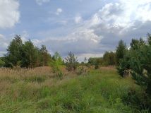 Działka budowlana Karkosy. Zdjęcie 4