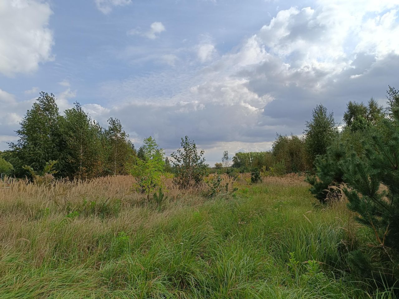 Działka budowlana Karkosy. Zdjęcie 5