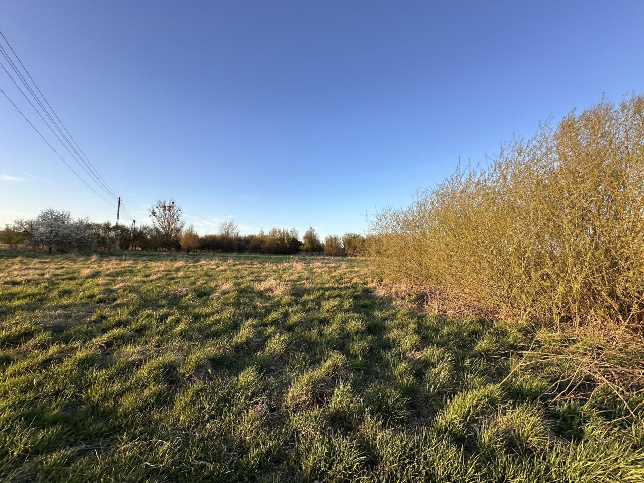 Działka budowlana Przynotecko. Zdjęcie 7